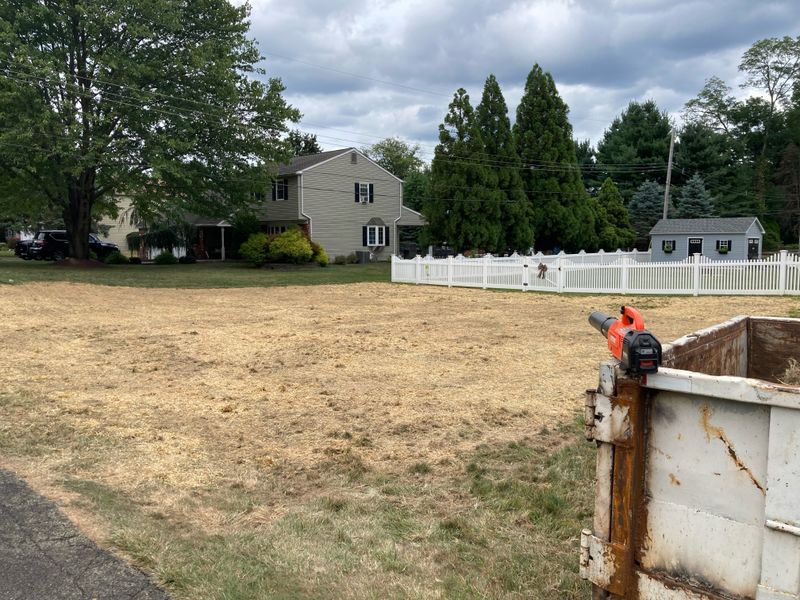 Land Clearing