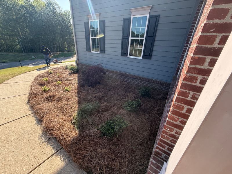 Pine Straw and Mulch