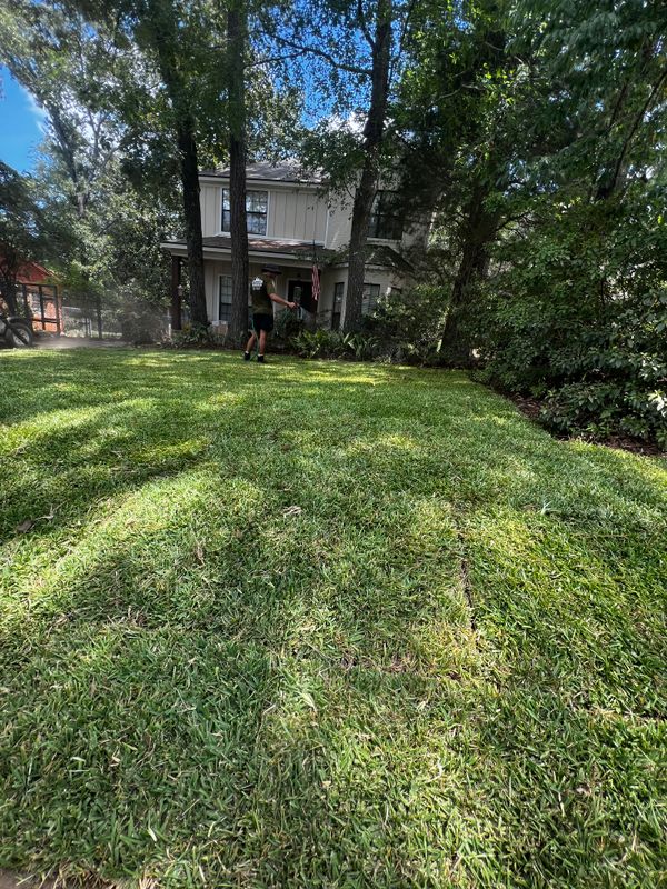 Sod Installation