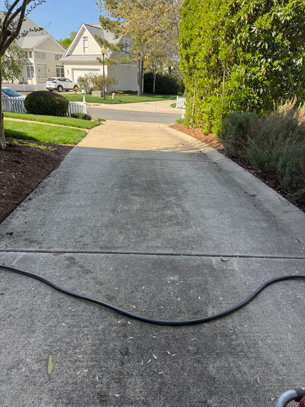 Driveway Cleaning