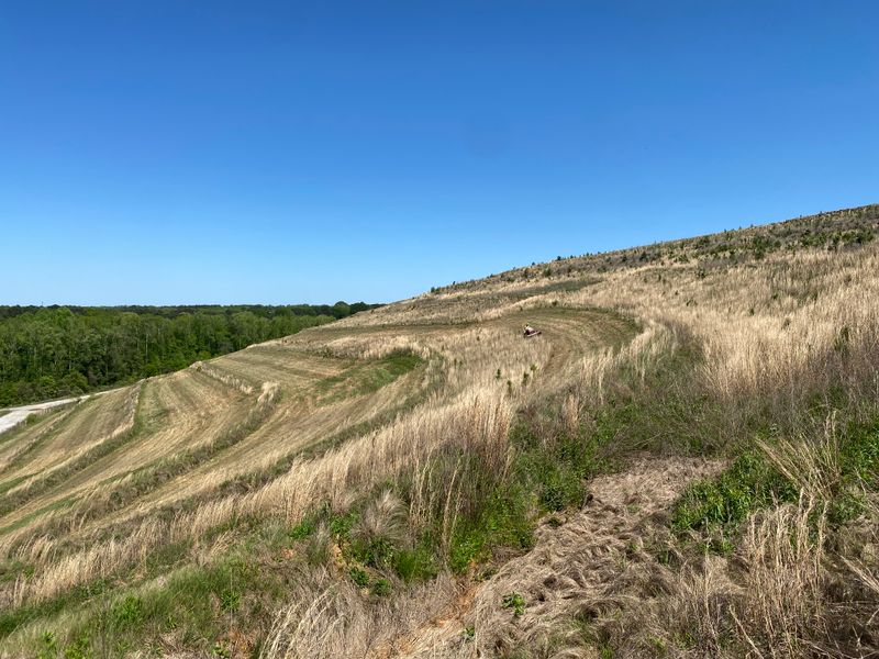 Slope Mowing