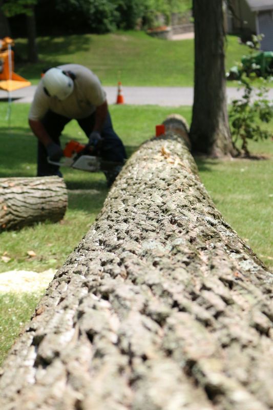 Tree Trimming & Removal