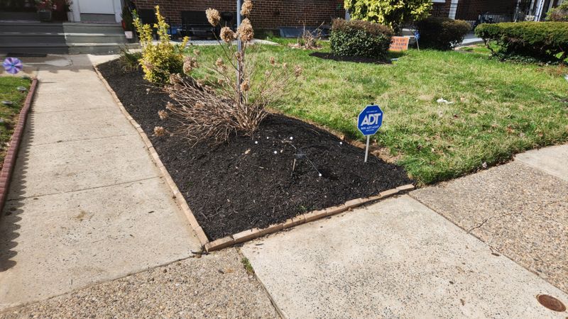 Lawn Care
