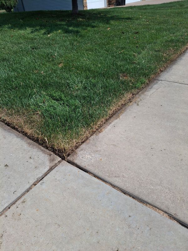 Lawn Maintenance