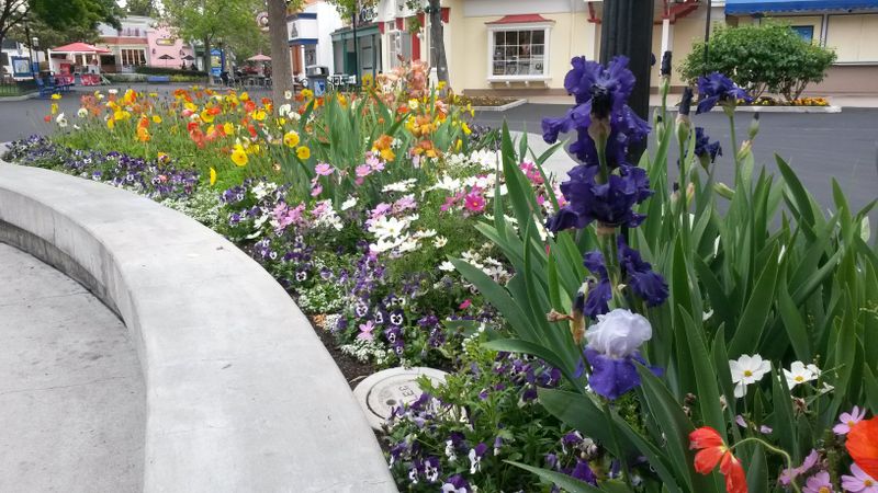 Themed Horticultural Designs