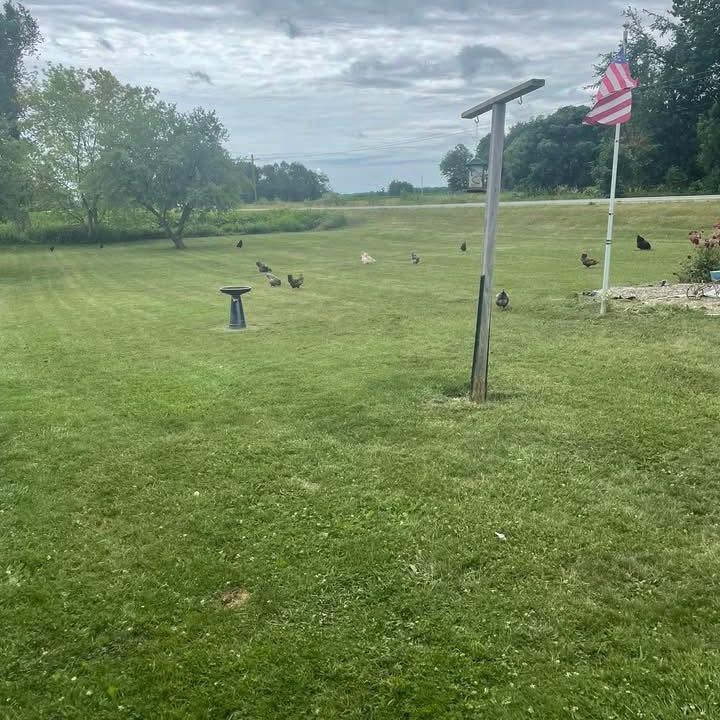 Lawn Care