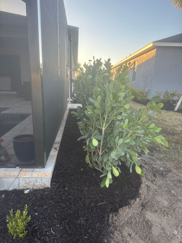 Landscaping