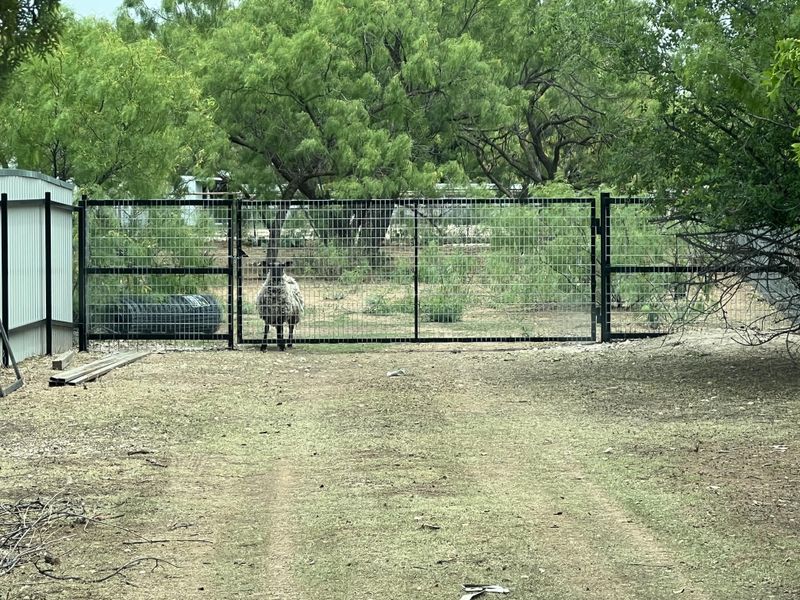 Gates