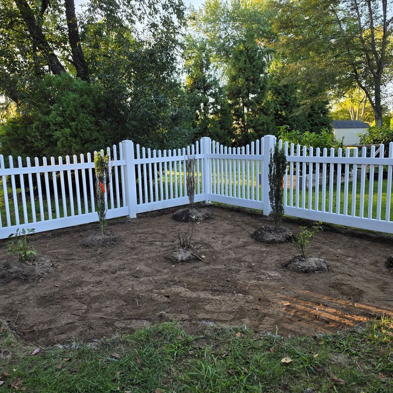 Tree & Shrub Care