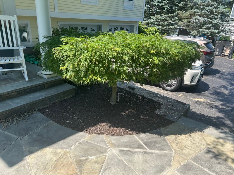 Patio Design & Construction