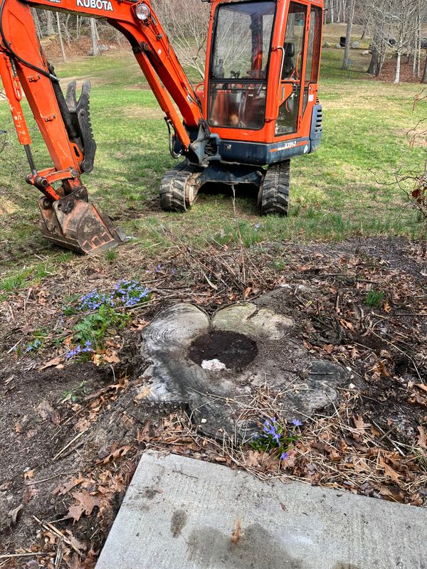 Stumps
