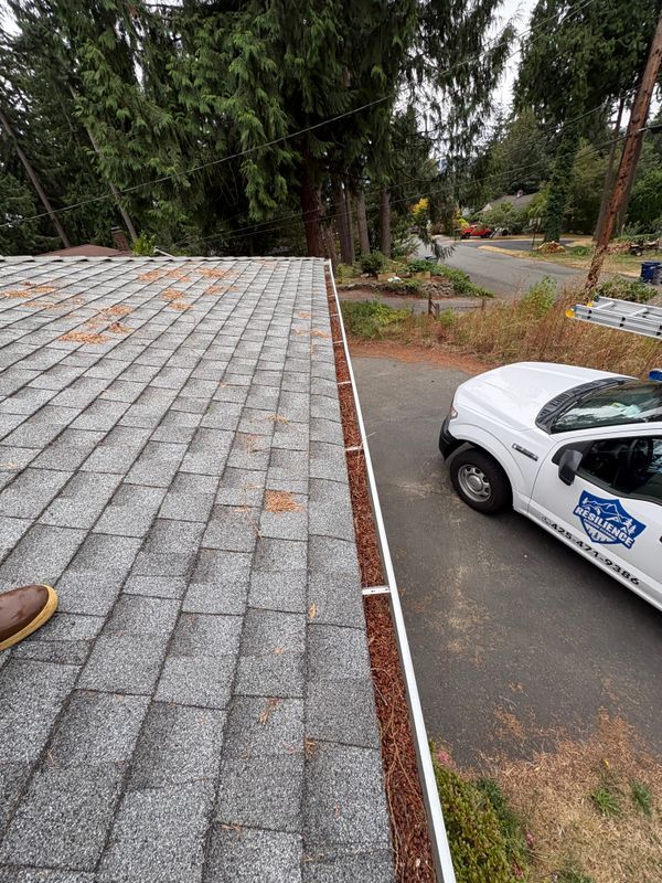 Roof Cleaning