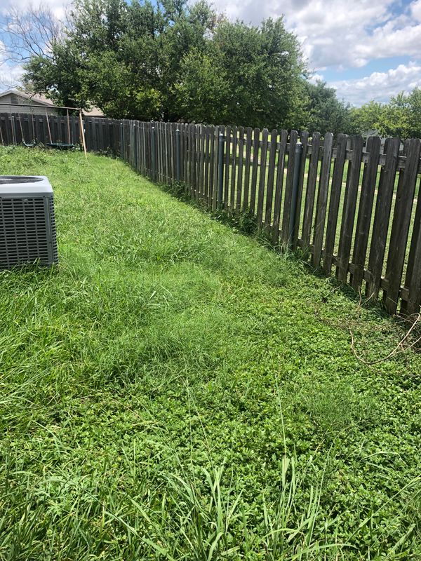 Lawncare