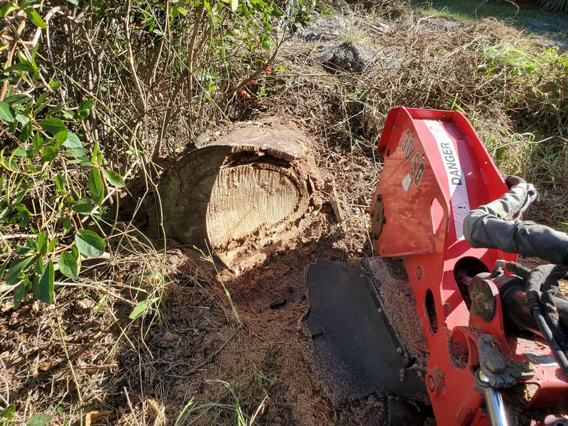 Stump Removal