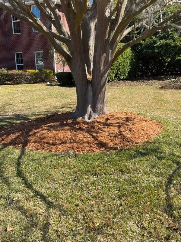 Mulch Installation