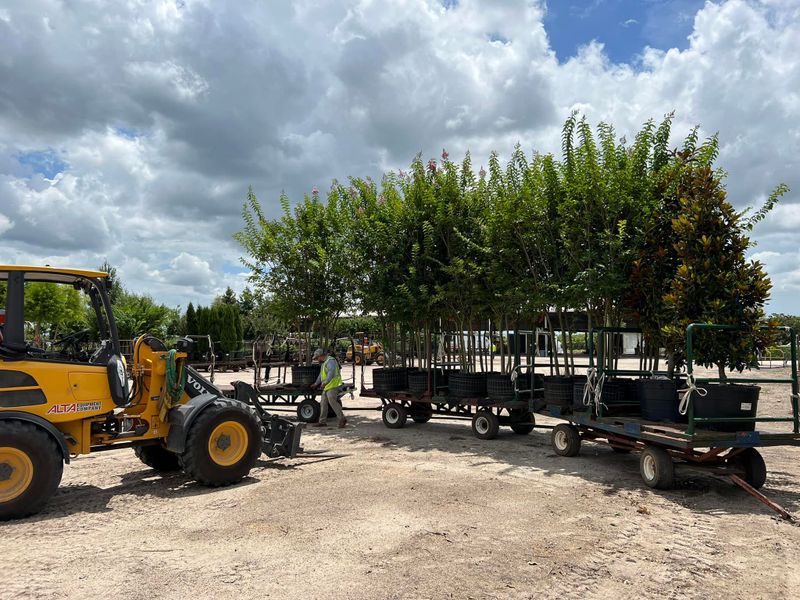 Horticulture Care