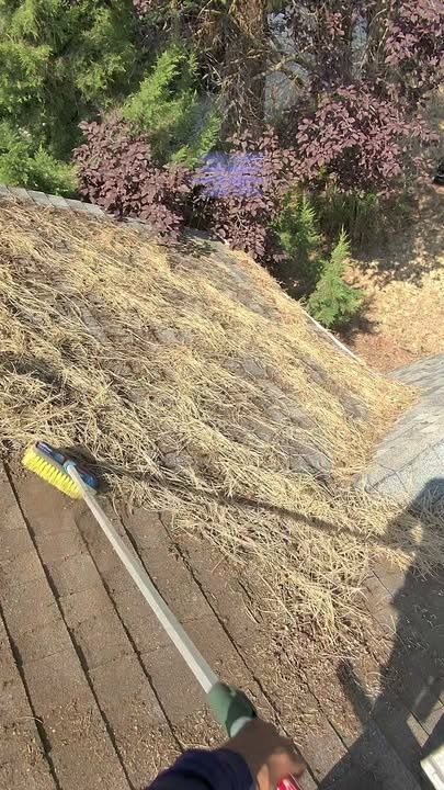 Roof Cleaning