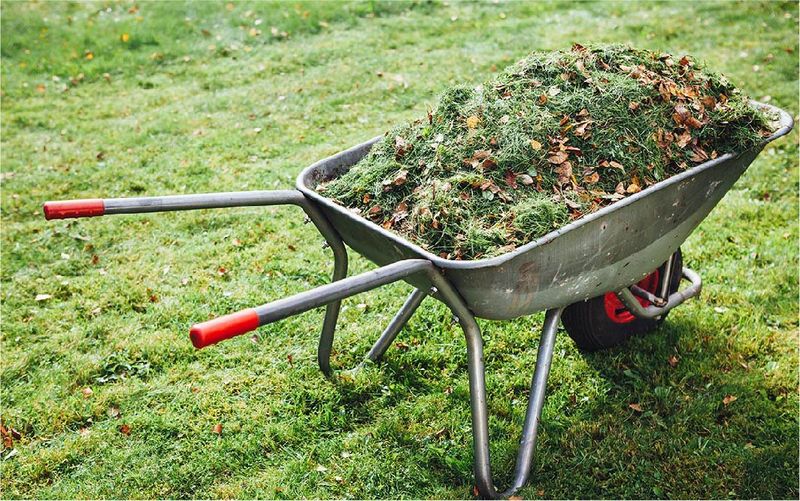 Seasonal Cleanups