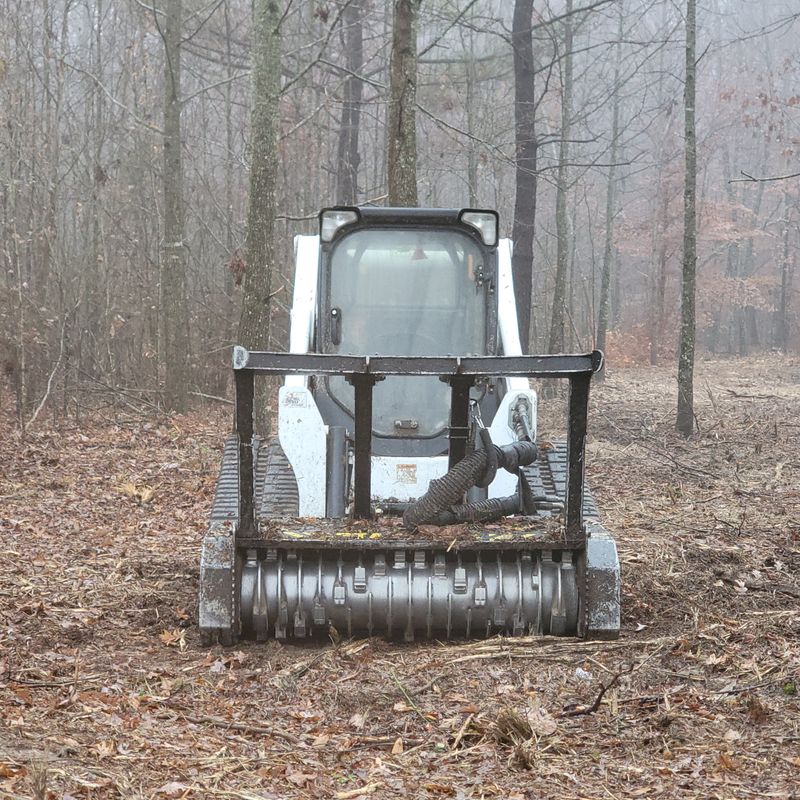 Land Clearing