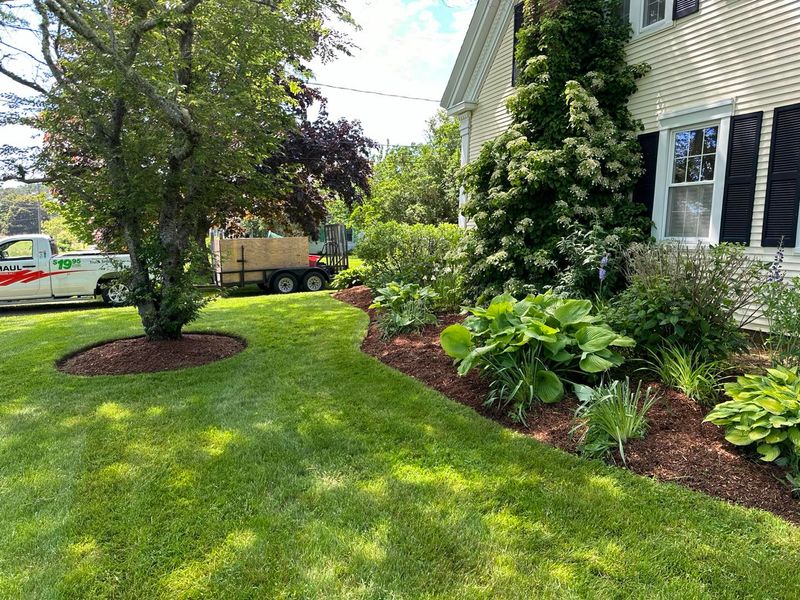 Mulch Installation