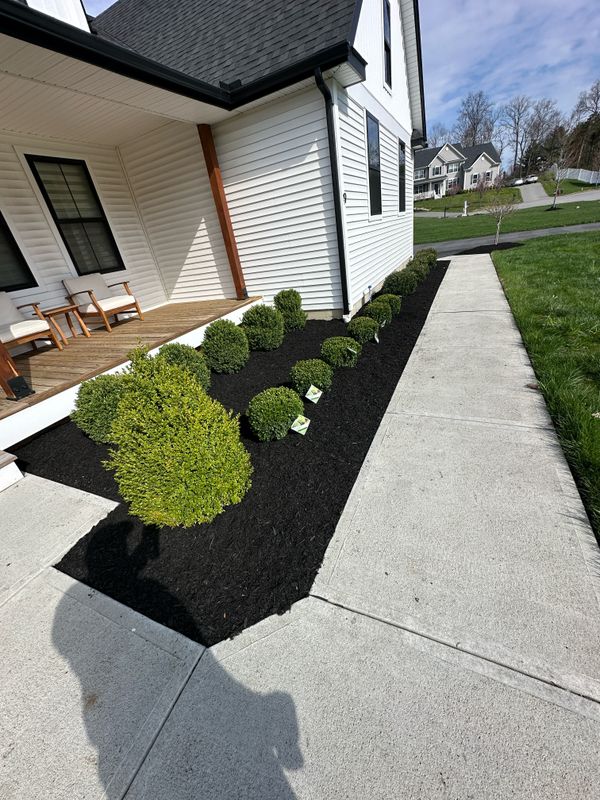 Landscape Design & Construction