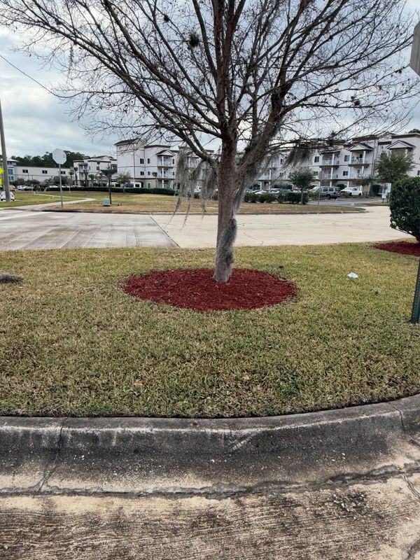 Mulch Installation