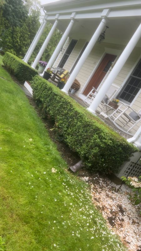 Shrub Trimming