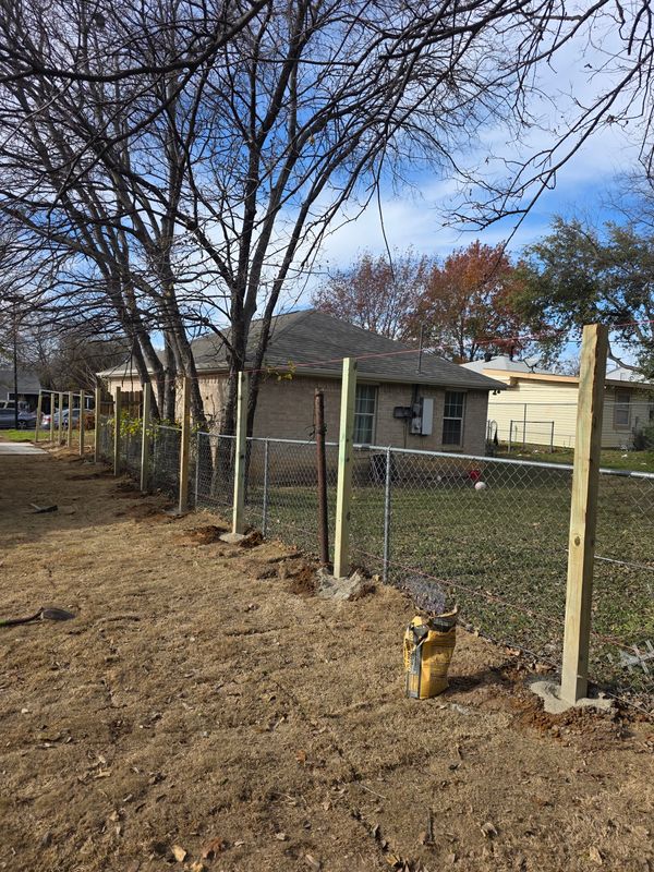 Tree Removal