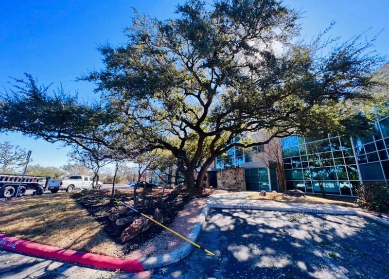 Commercial Tree Service