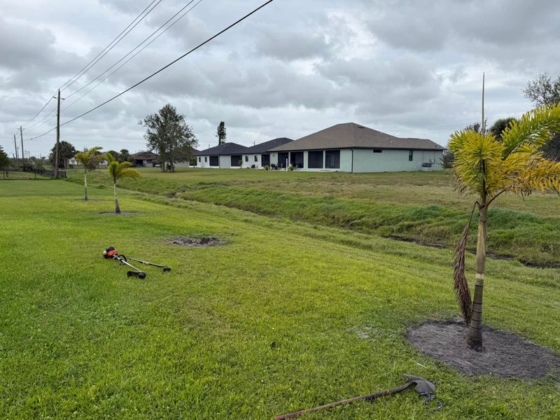 Tree Removal gallery