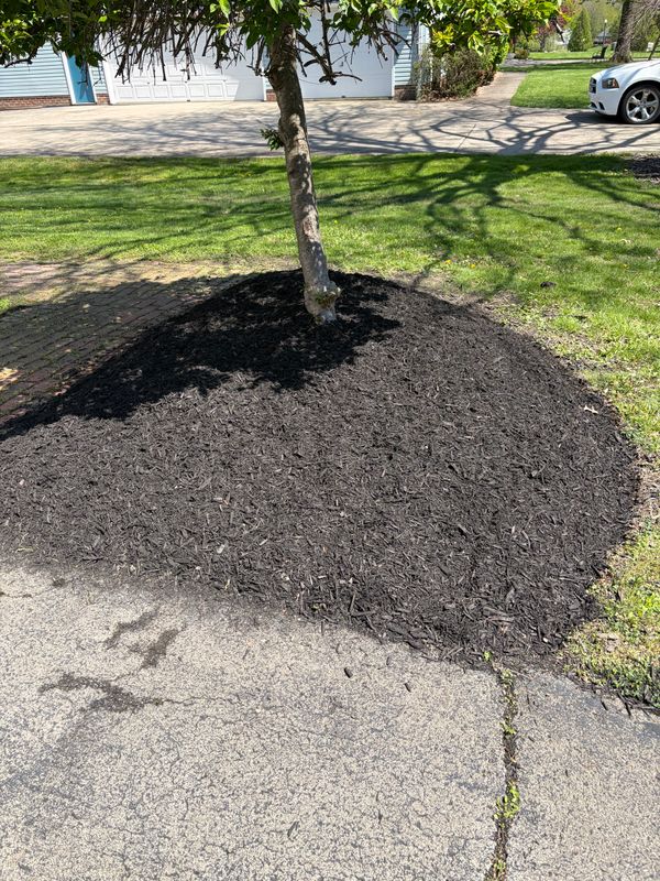Mulch Installation