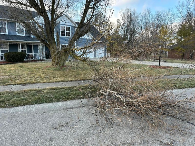 Storm Cleanup