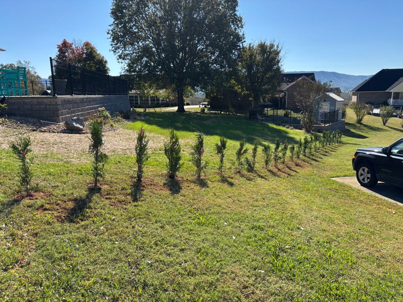 Landscape Design