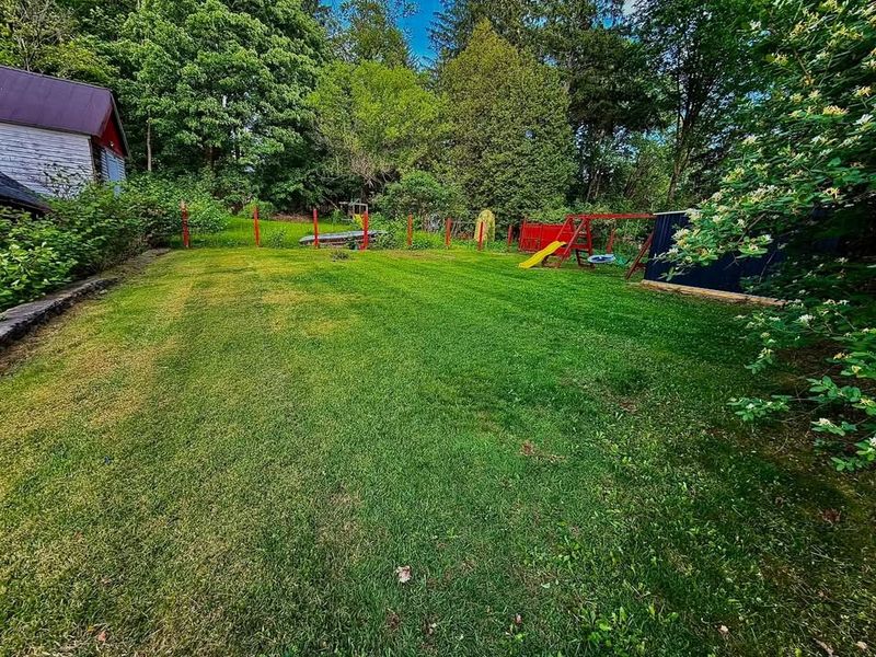Lawn Care & Maintenance