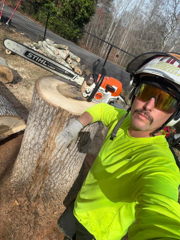 Stump Removal