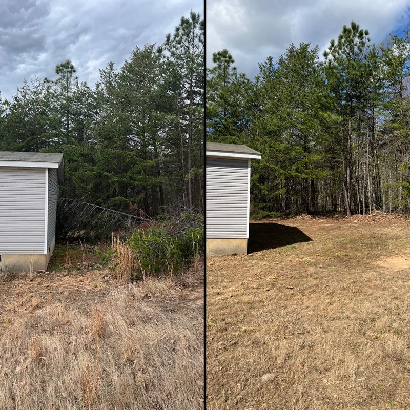 Brush cutting/clearing