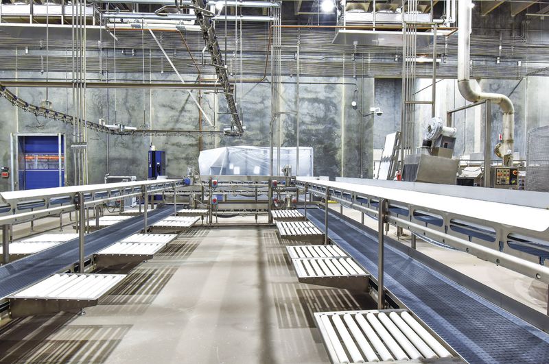Meat Processing Plant Cleaning and More