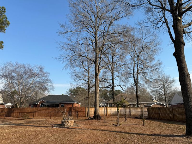 Land Clearing