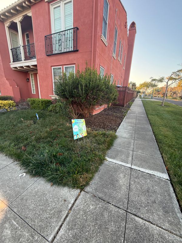 Landscaping