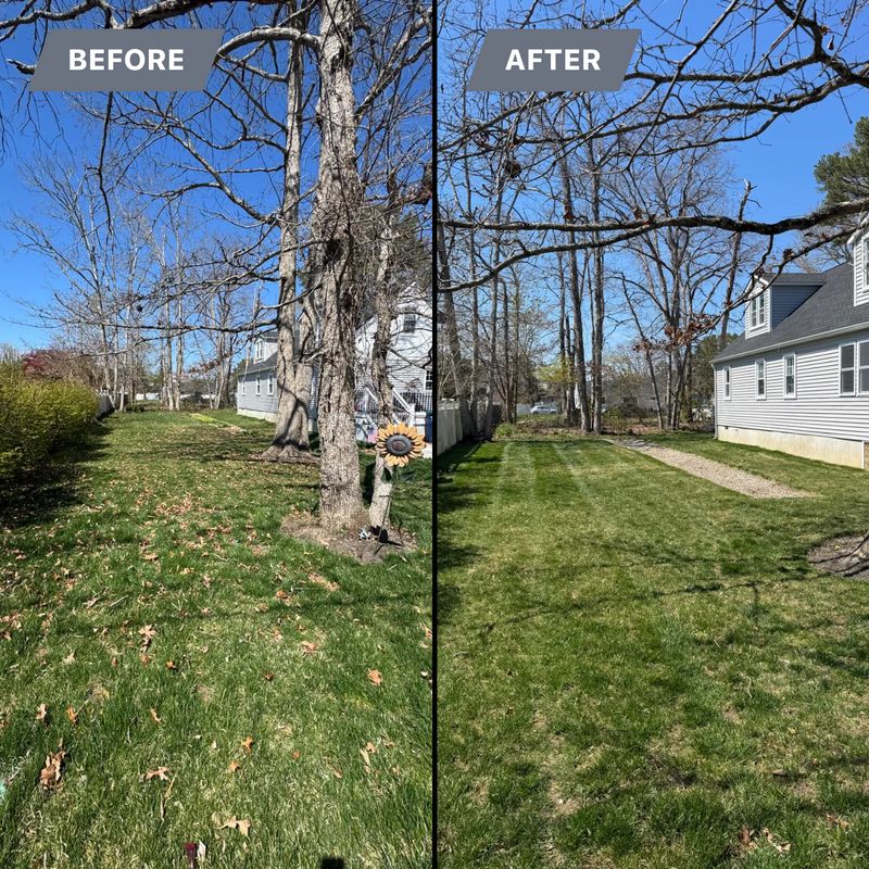Spring Cleanup