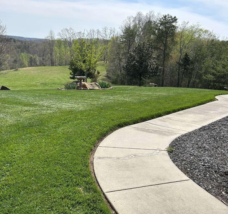 Lawn Care
