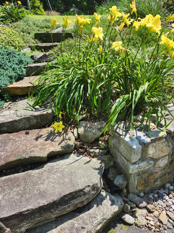 Patio Design & Construction