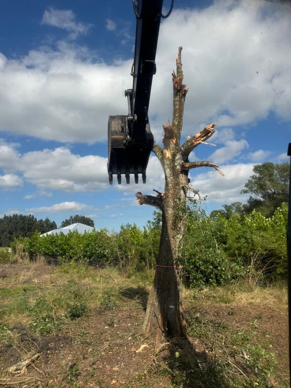 Residential & Commercial Excavation