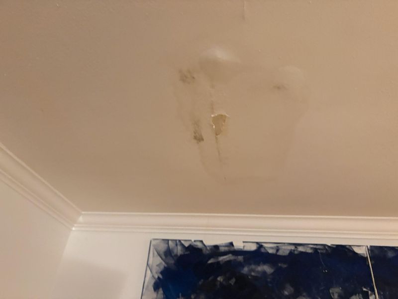 Drywall Finisher(Plastering)
