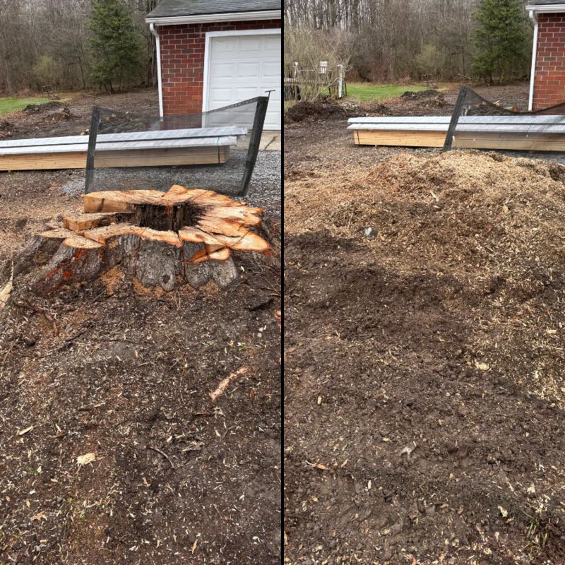 Stump Removal
