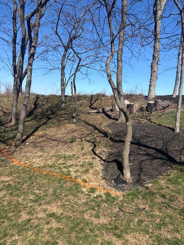 Mulch Installation