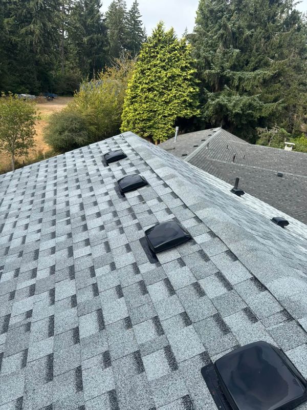 Roof Cleaning