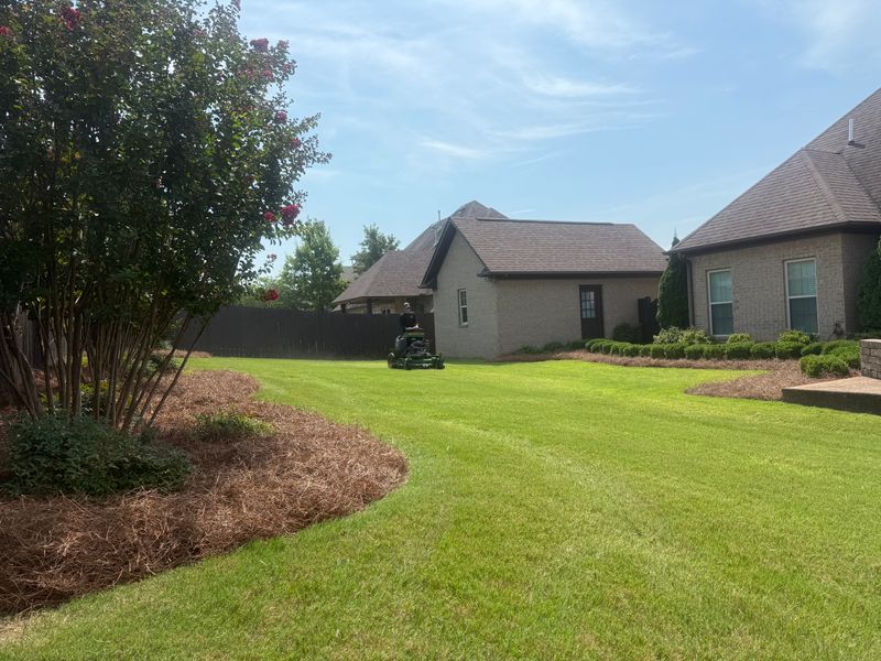 Lawn Maintenance