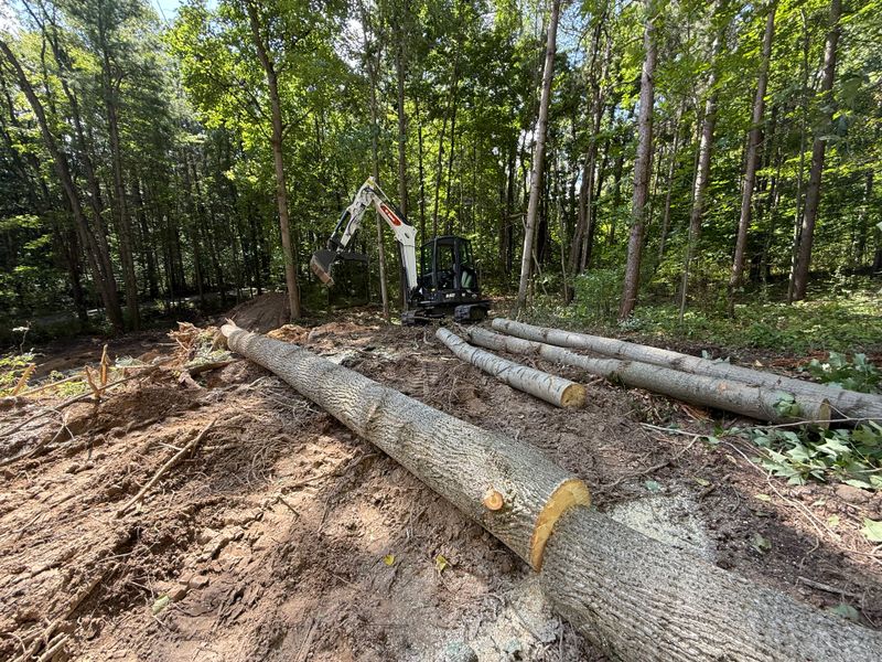 Land Clearing & Demolition