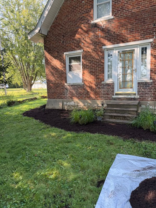 Lawn Care and Maintenance